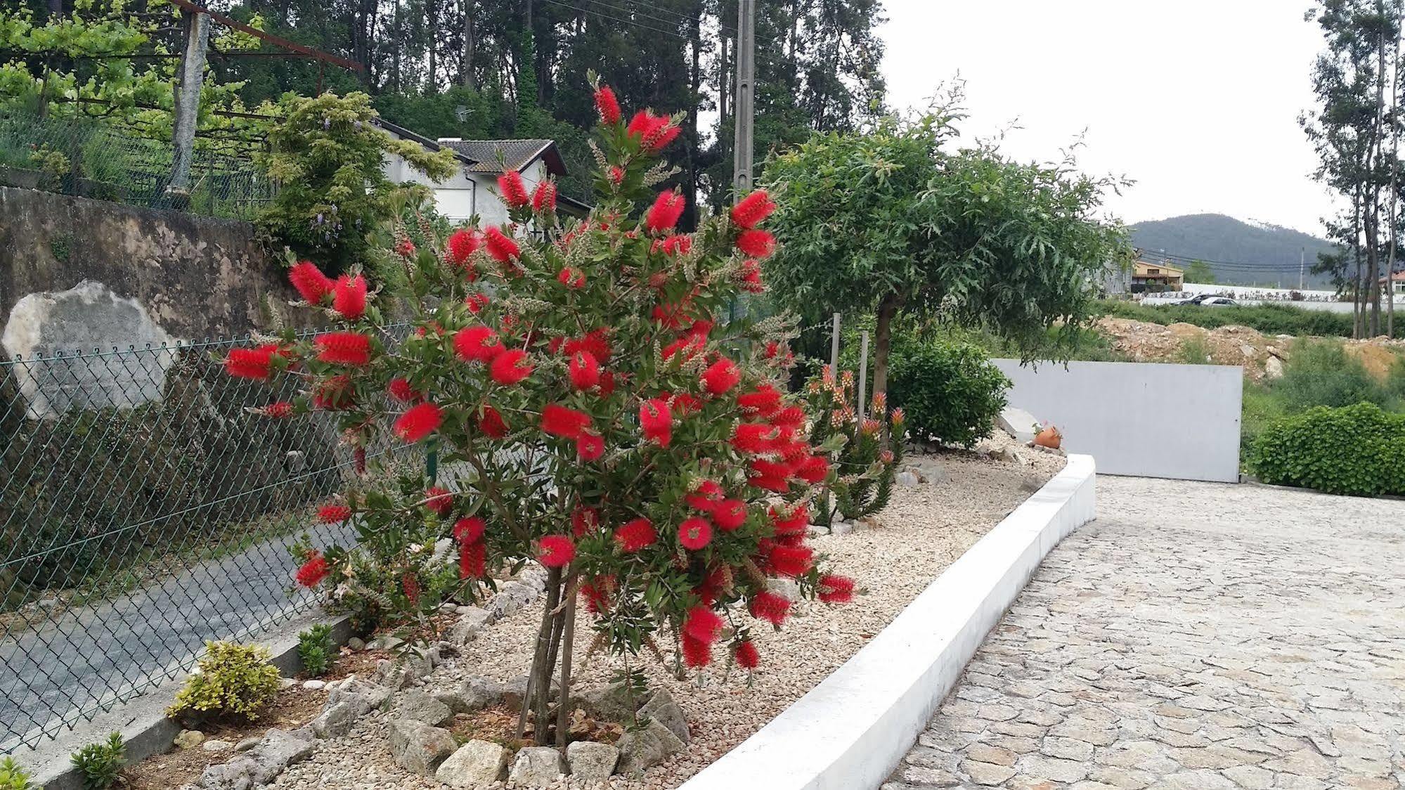 הוילה אוליביירה דה אזמיס Casa Do Porto Carreiro מראה חיצוני תמונה